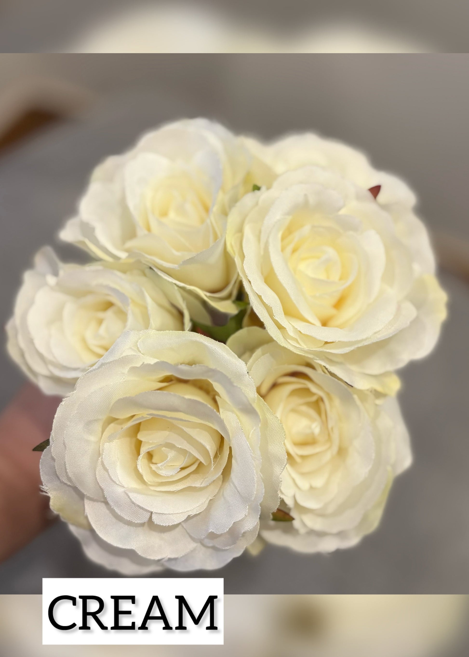 Cream-colored flowers with a blurred background and 'CREAM' text overlay.